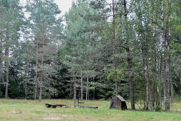 Peräjärve forest trail