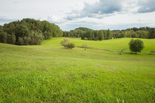 Ландшафтная тропа Ребясе