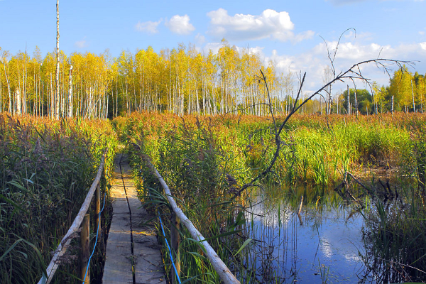 Rebäse landscape trail