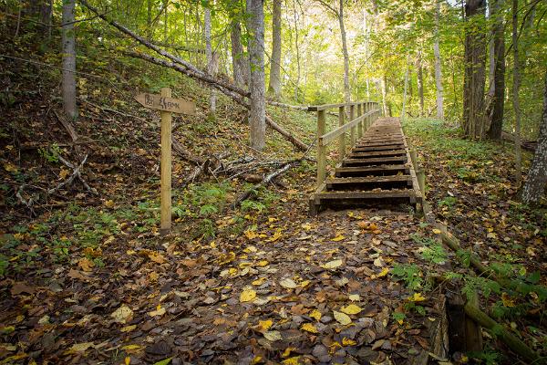 Sangaste forest park trail