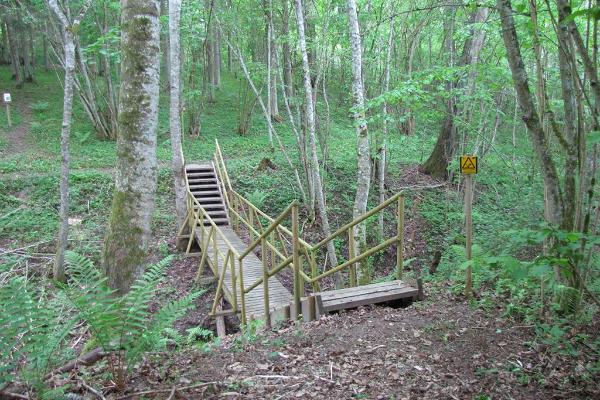 Sangaste forest park trail
