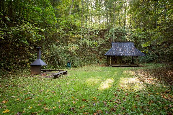 Pfad im Waldpark Sangaste 