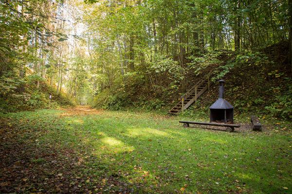 Pfad im Waldpark Sangaste 