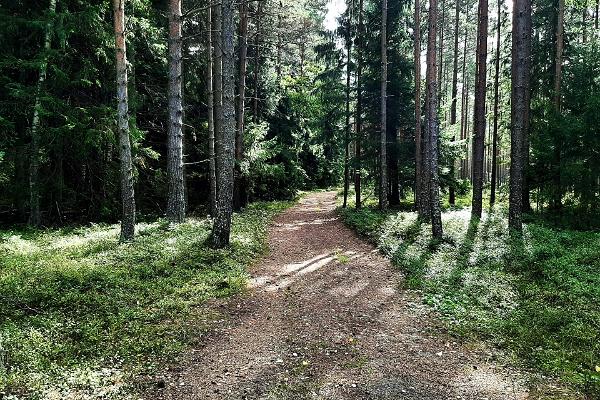 Tõrvanina study trail