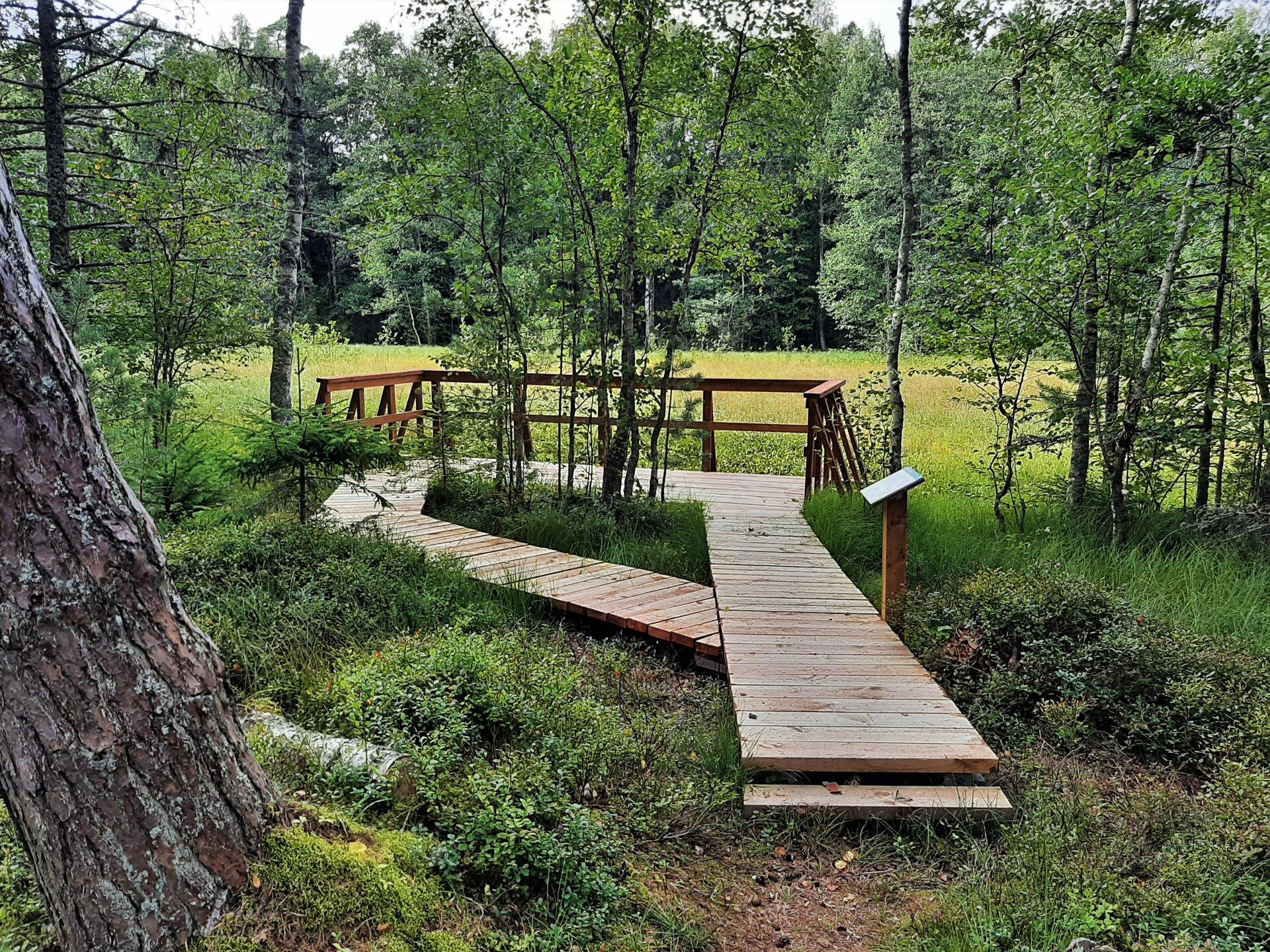 RMK Tõrvanina study trail