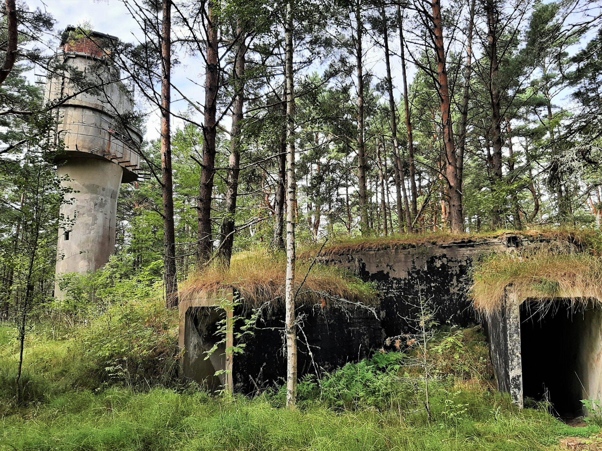 Tahkuna kaitserajatised