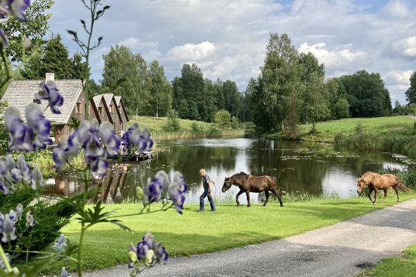 Ferienhäuser des Kivitalu-Bauernhof