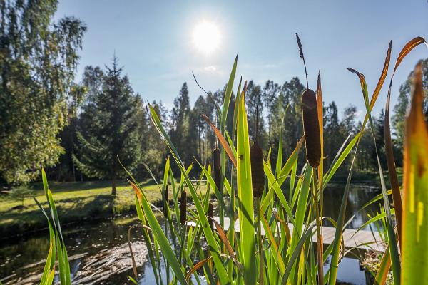 Vana-Veski Semestercentrum