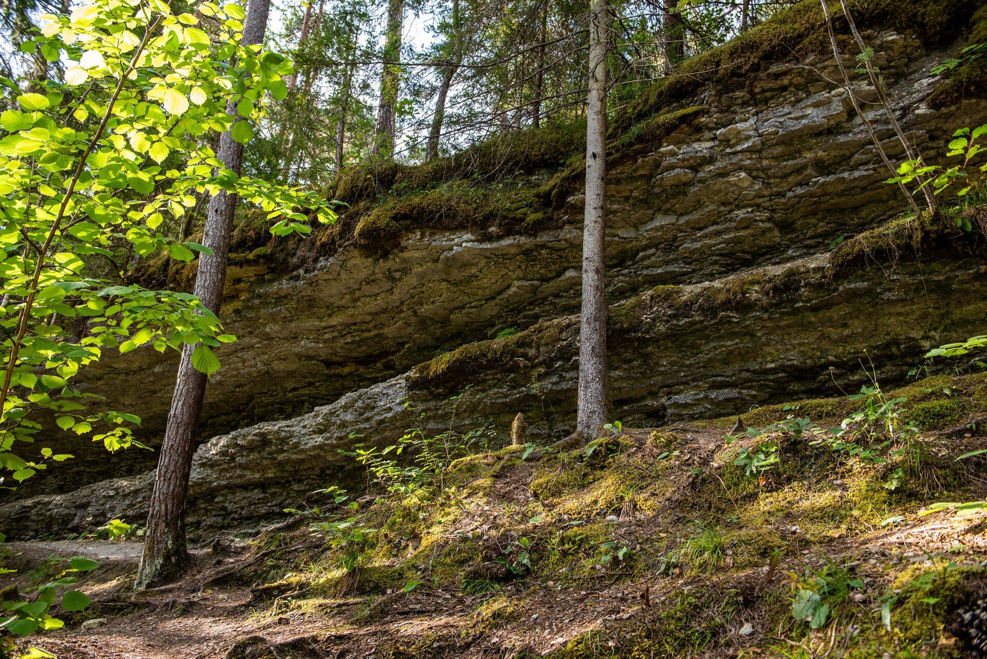 Kallaste cliff in Hiiu County