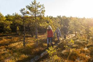 Naturvandringsleden vid Pääsküla moss
