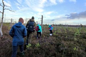 Snowshoe hike in Kõrvemaa and a hunt for cranberries