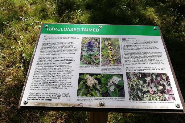 Информационный стенд с описанием редких растений