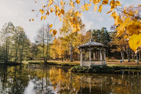 Светлый парк в Нарва-Йыэсуу