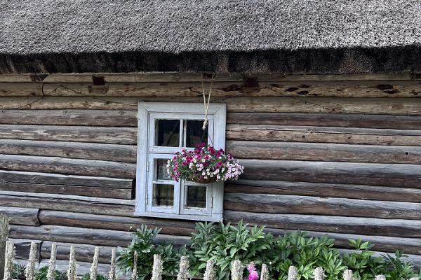 Lahemaa-National-Park-Food-Sightseeing-Estonia-foodsightseeing.ee-food-tours-private-tailored-nature-tours-best-of-sustainable-tourism-in-Estonia-local-picnic-food-guided-by-locals-30