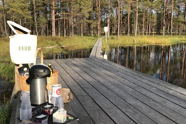 Lahemaa-National-Park-Food-Sightseeing-Estonia-foodsightseeing.ee-food-tours-private-tailored-nature-tours-best-of-sustainable-tourism-in-Estonia-local-picnic-food-guided-by-locals-2