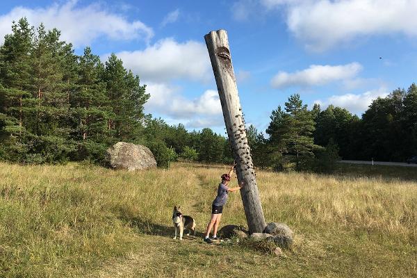 Radtour nach Westestland und auf die Inseln