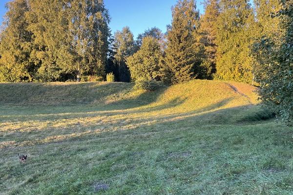 Loone borg eller Lohu Jaanilinn