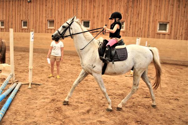 Horseback riding in Tamme Tall