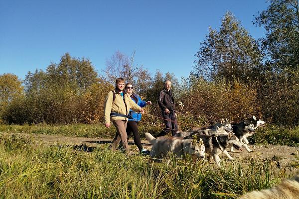 Husky pargi külastus ja jalgsimatk koos Siberi Huskydega