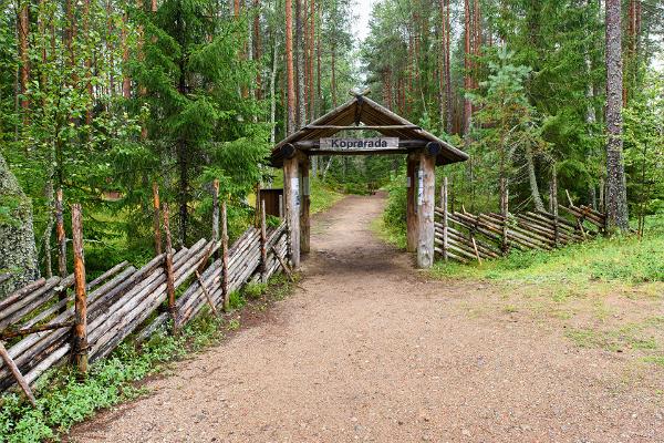 Biberpfad im Lahemaa Nationalpark