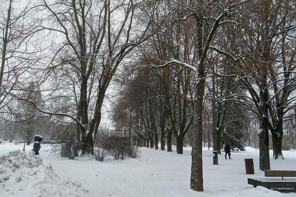 Vintersaga - en promenad i vintriga Tartu