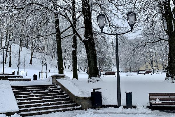 Den snöiga Pirogov-parken