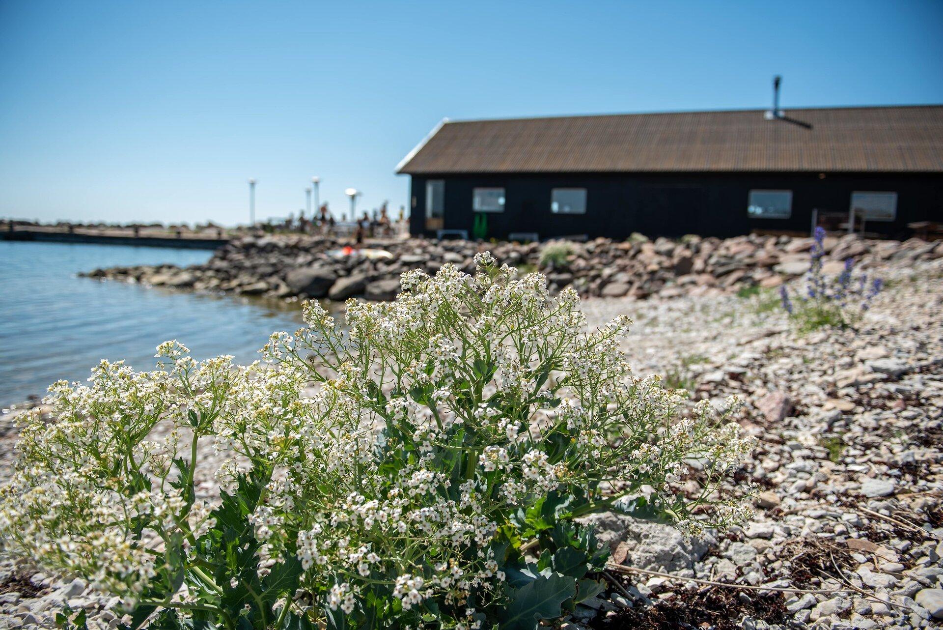Restaurant Kalana ÄÄR