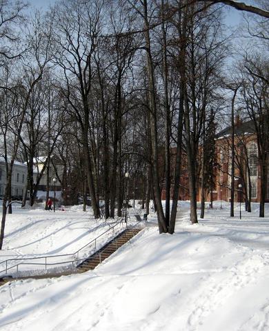 Toomemäe park (Dombergets park) på vintern