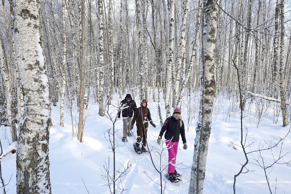 Nature Tours Estonia snowshoe trip to the bog islands of the Peipsiveere Nature Reserve