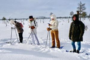 Snowshoe hike in Männiku bog