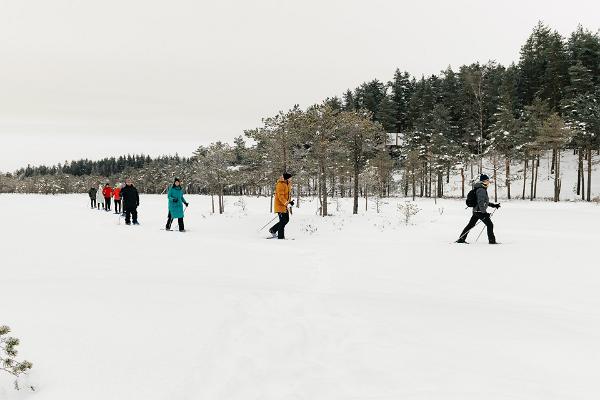 Räätsamatk talvel