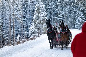 J. Kallaste Carriages barouche and sleigh rides