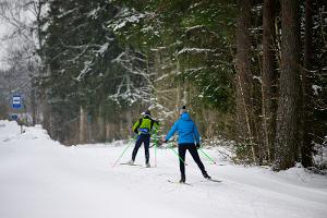 Pühajärve-Kääriku Ski Track