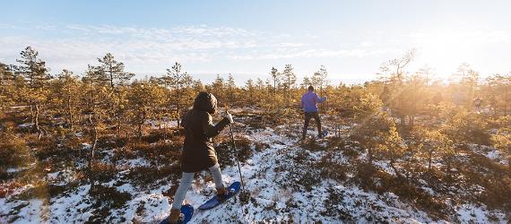 Varför åka till Estland på snöskovandring?