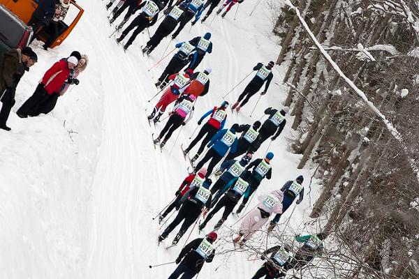 Viru maratoni sõitjad rajal
