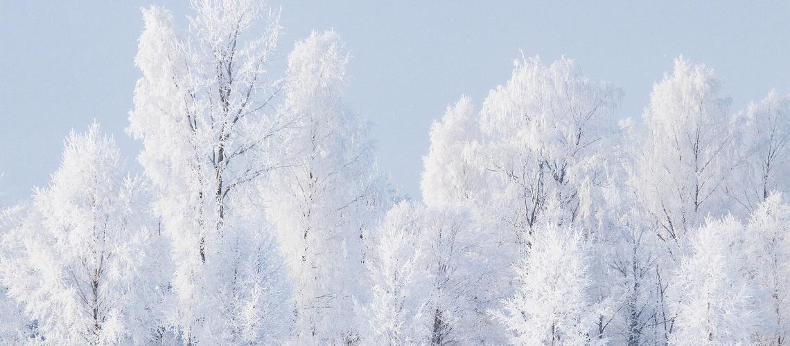 В разгар зимы — в Центральную Эстонию!