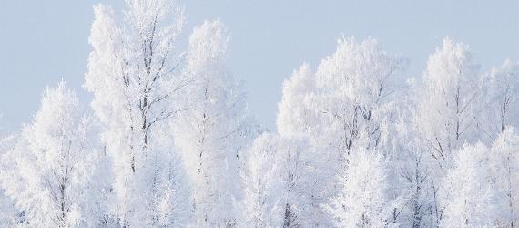 В разгар зимы — в Центральную Эстонию!
