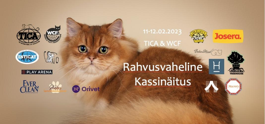 Rahvusvaheline kassinäitus TICA & WCF Cat Show "Sweet Valentine"