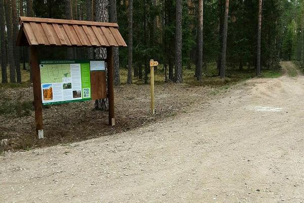 RMK Laari metsanduslik õpperada