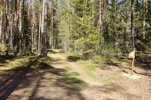 RMK Laari metsanduslik õpperada