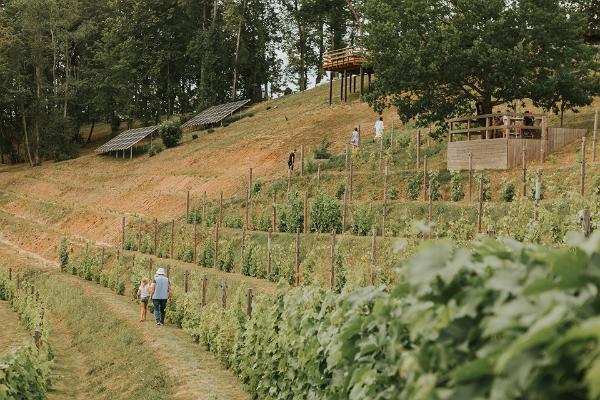 "Murimäe" vīna pagraba un vīnogulāju kalna apmeklējums
