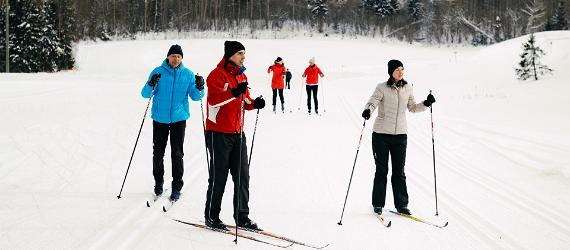 Where to go cross-country skiing in Estonia