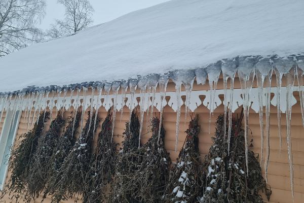 Haldjamaa linnu- ja loomakodu