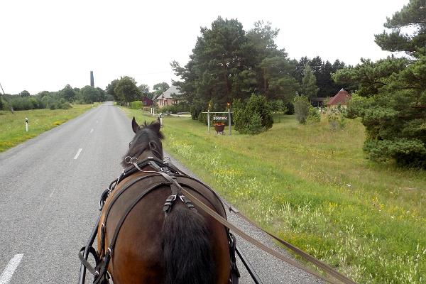 En häst på landsvägen, i bakgrunden syns fyren Anseküla 