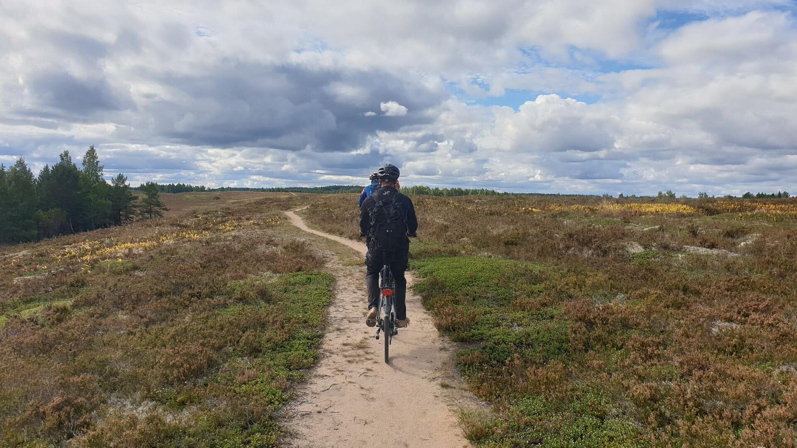 Bike Tour Estonian Wilderness Experience