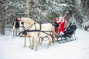 Mustamõisa carriage and sleigh rides