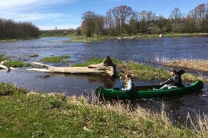 Canoe trip on Navesti and Pärnu rivers - Levikivi canoe rental
