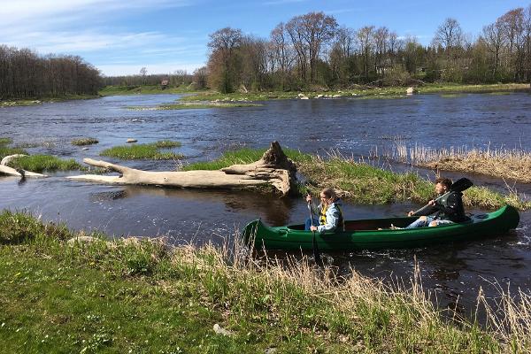 Canoe trip on Navesti and Pärnu rivers - Levikivi canoe rental