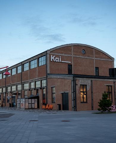 Kai konstcenters galleri och auditorium-biografsal