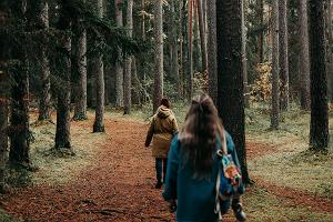 Pildil läbi metsa matkavad inimesed